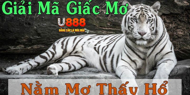 game go88 xổ số kiến thiết miền bắc