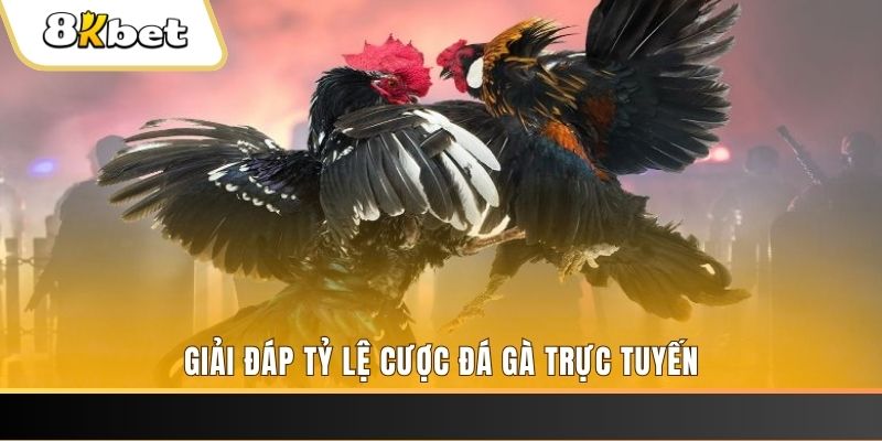 game go88 xổ số ba đài