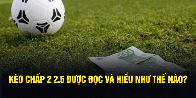 game go88 đá gà thomo