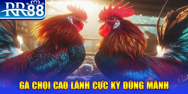 game go88 natural” trong baccarat nghĩa là gì？